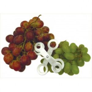 Table Grape Small Fruit Sizer Manufacturer & Exporter in India